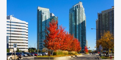 Mississauga thông qua quy định mới nhằm ngăn chặn tình trạng "Renoviction" – Trục xuất người thuê để sửa chữa nhà