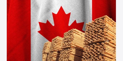 Canada viện trợ ngành gỗ xẻ đến 1.2 tỷ CAD để đối phó với thuế của Mỹ