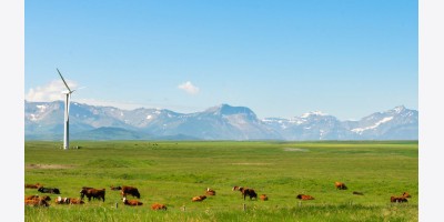 Chính sách của Alberta đã làm giảm niềm tin của nhà đầu tư vào năng lượng tái tạo: báo cáo