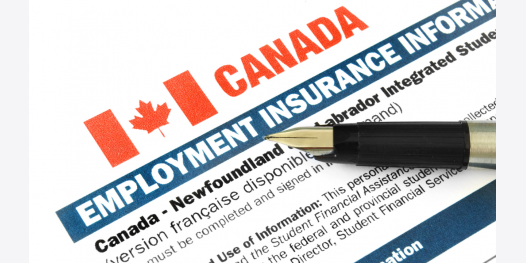 Các quy định mới về Bảo hiểm thất nghiệp Canada năm 2026